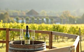 Denbies Vineyard Hotel